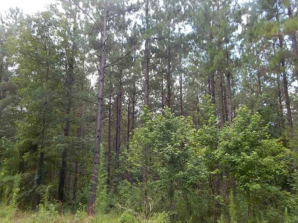 1st image of 7008 Old Highway 49