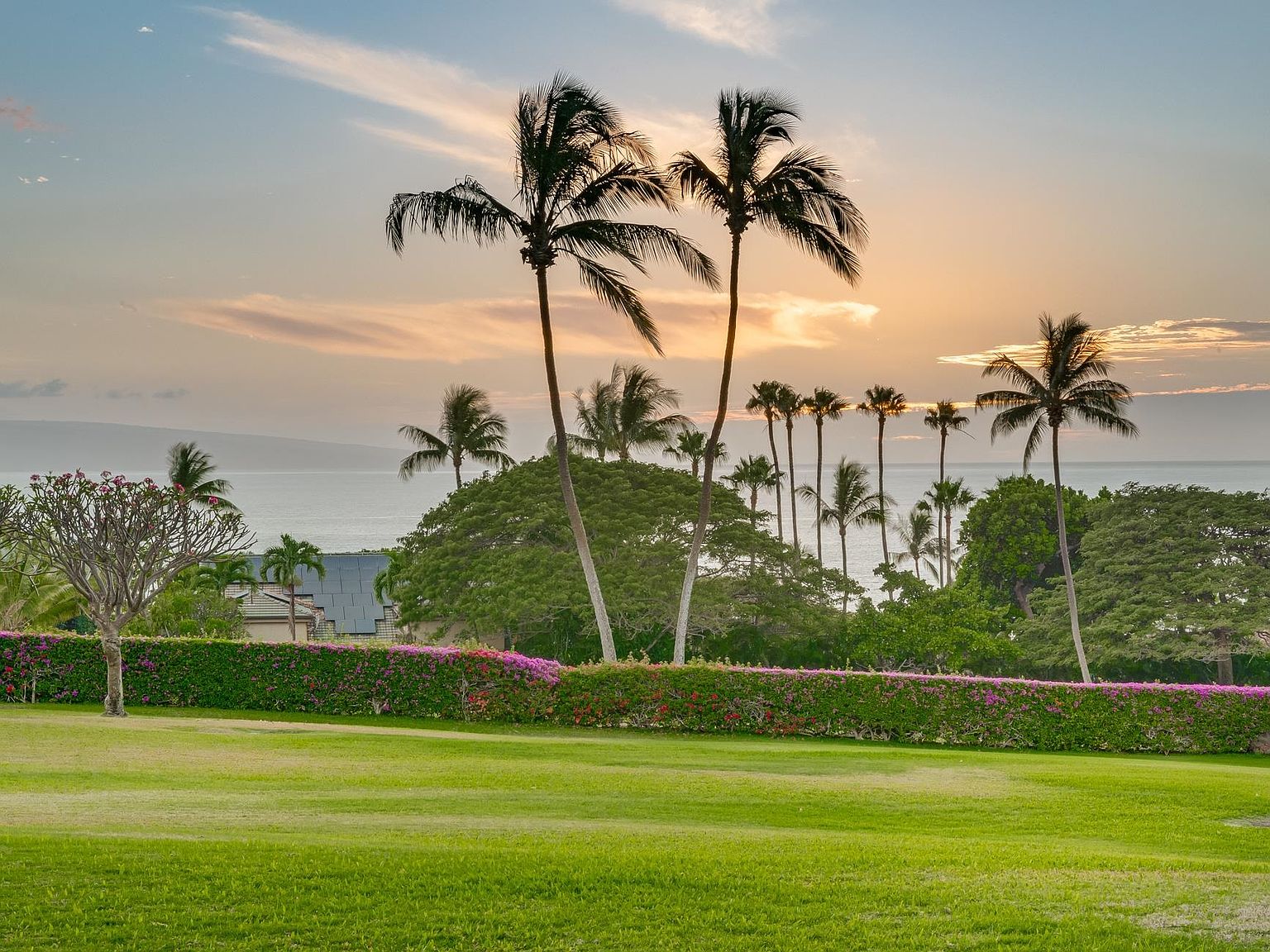 50 Puu Anoano St APT 903