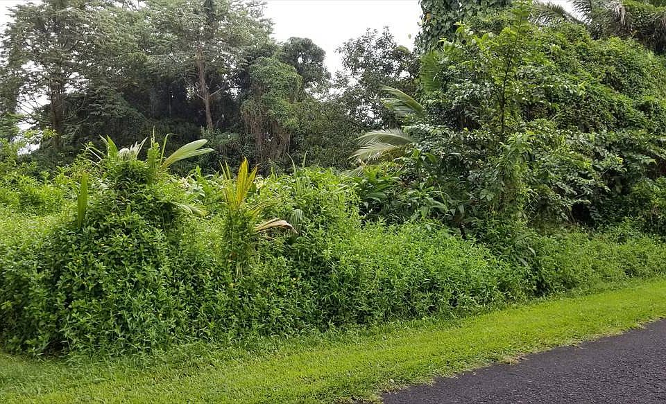 2nd image of Hinalea St Lot 21