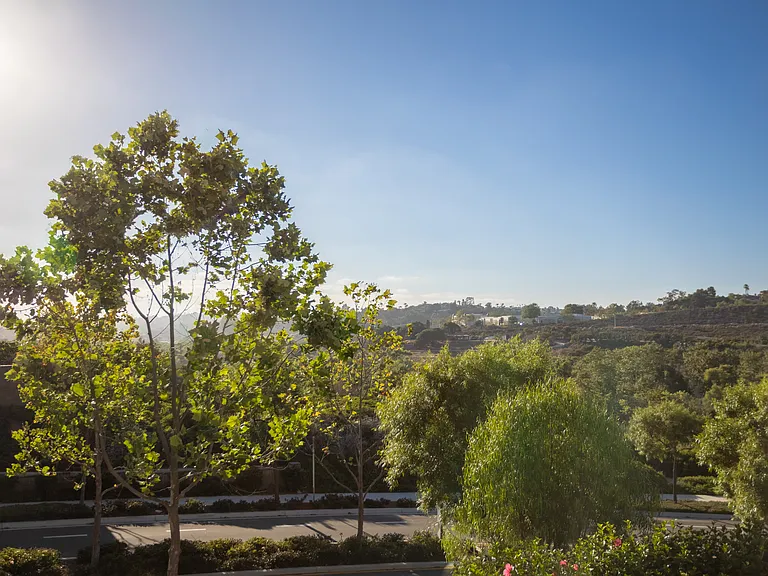 View from the main bedroom