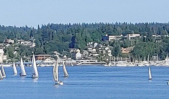 4th image of 3729 McCall Blvd W