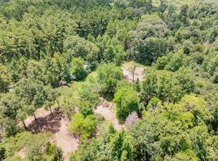 751 An County Rd #156, Palestine, TX 75801