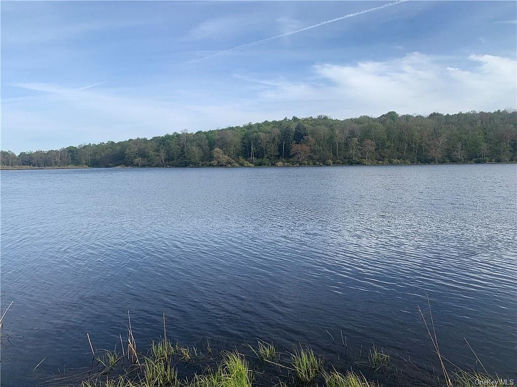 County Road 93, Fremont Center, NY 12736 Zillow