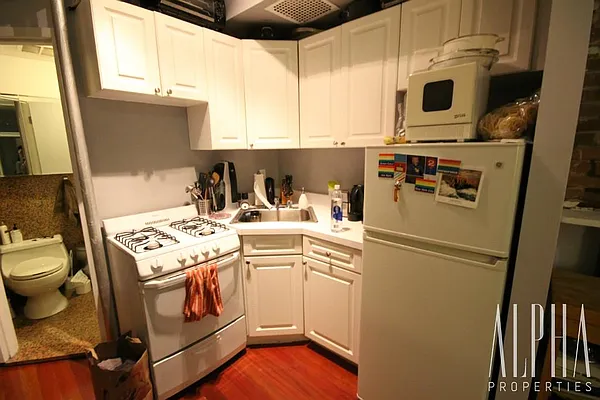 Rented by Alpha Properties NYC I LLC | media 45