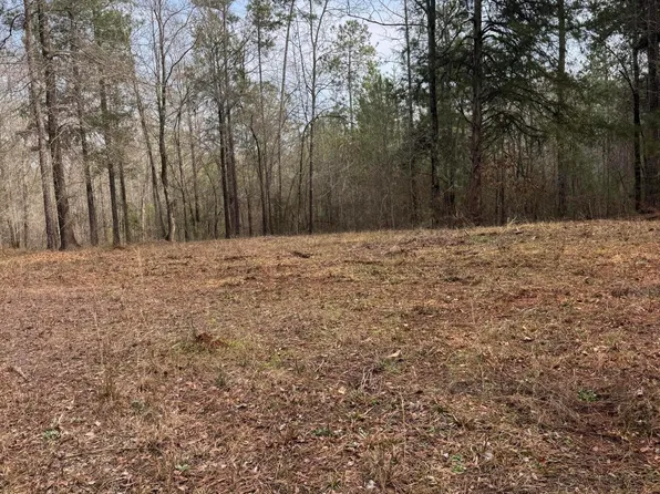 0 State Highway 87, Juliette, GA 31046