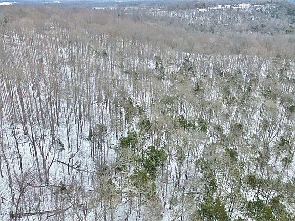 5th image of 47A Louisville Rd