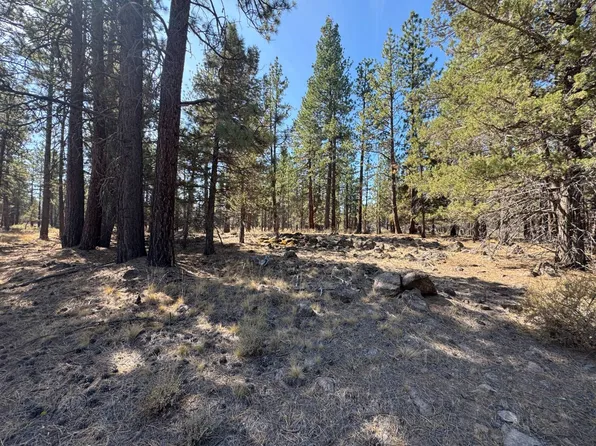 0 Tennant Mount Hebron Hwy, Macdoel, CA 96058