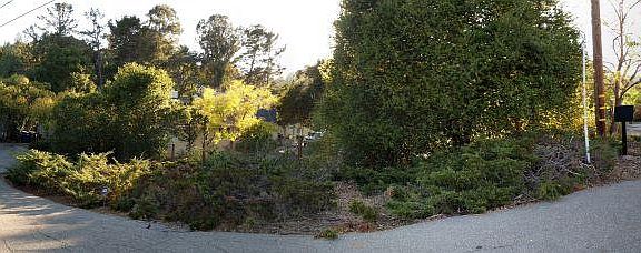 4th image of 13455 Surrey Ln
