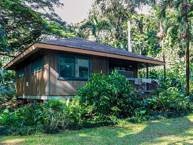 49-51 Kamehameha Hwy — Photo 12