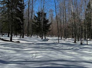 Lower Skanee Rd, Skanee, MI 49962