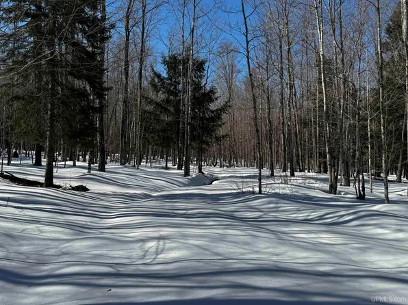 Lower Skanee Rd, Skanee, MI 49962