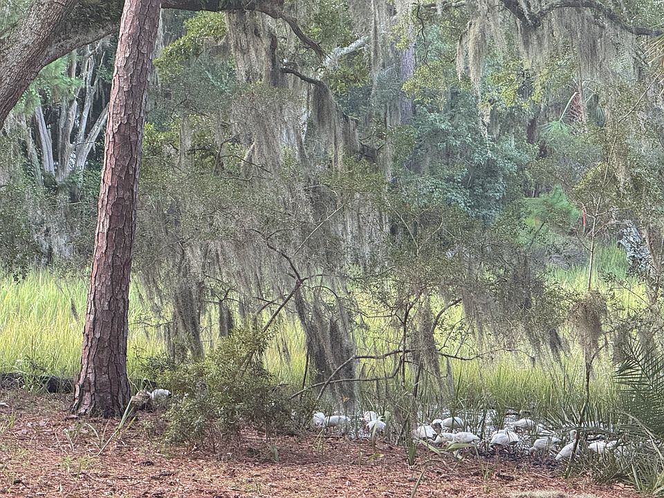 1st image of 6 Cordgrass Loop