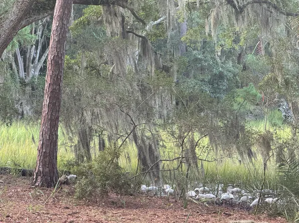 6 Cordgrass Loop, Beaufort, SC 29907