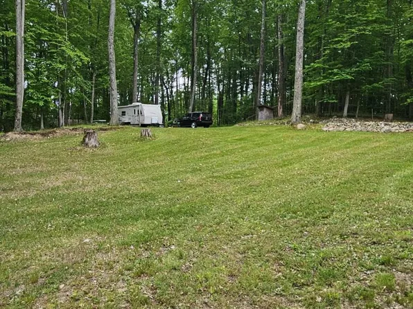 10527 Wampum Trl, Evart, MI 49631