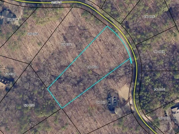736 Plum Ln, Clarkesville, GA 30523