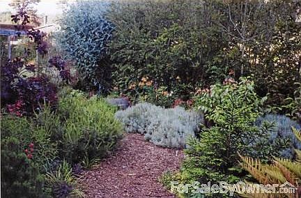 Garden
						:
						Landscaped garden with low maintainence plantings