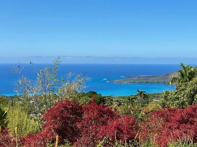 83-1036 Kahauloa Pl, Captain Cook, HI, 96704