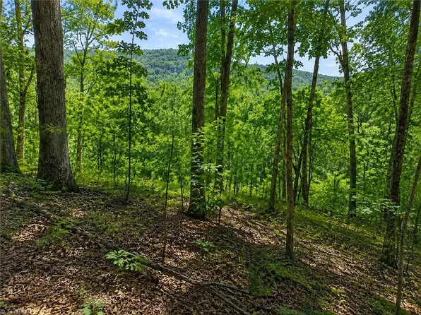 0 Sheppard Mill Rd, Danbury, NC 27016