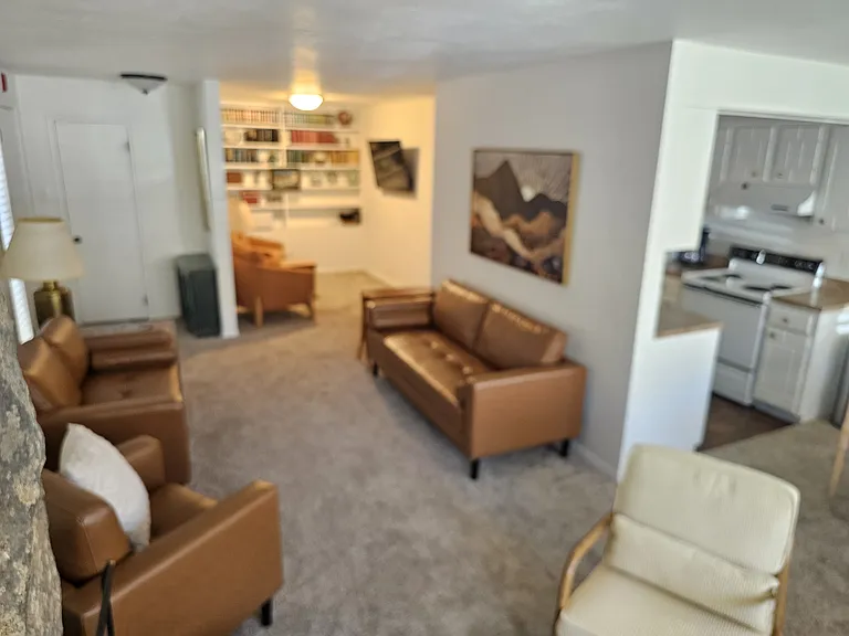 385 Gore Creek Dr #1 — Photo 4