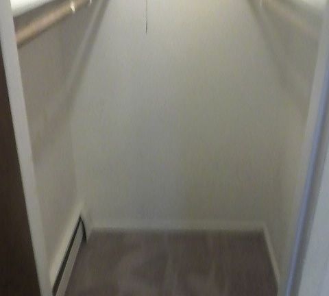 Master bedroom, closet