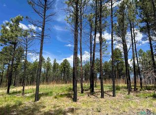 152 Calle Retiro, Rociada, NM 87742