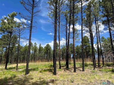 152 Calle Retiro, Rociada, NM, 87742