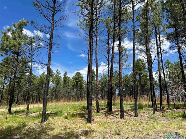 152 Calle Retiro, Rociada, NM 87742