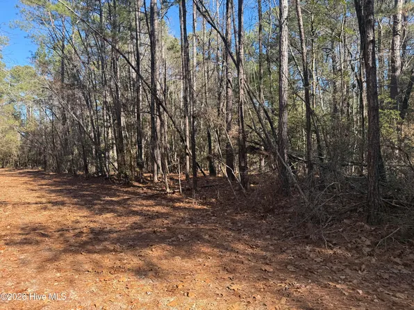 464 Sweet Gum Dr Lot 177-B, Vass, NC 28394