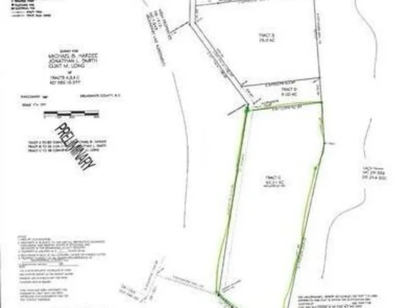 50.2 Ac Near Longwood Road, Ash, NC 28420