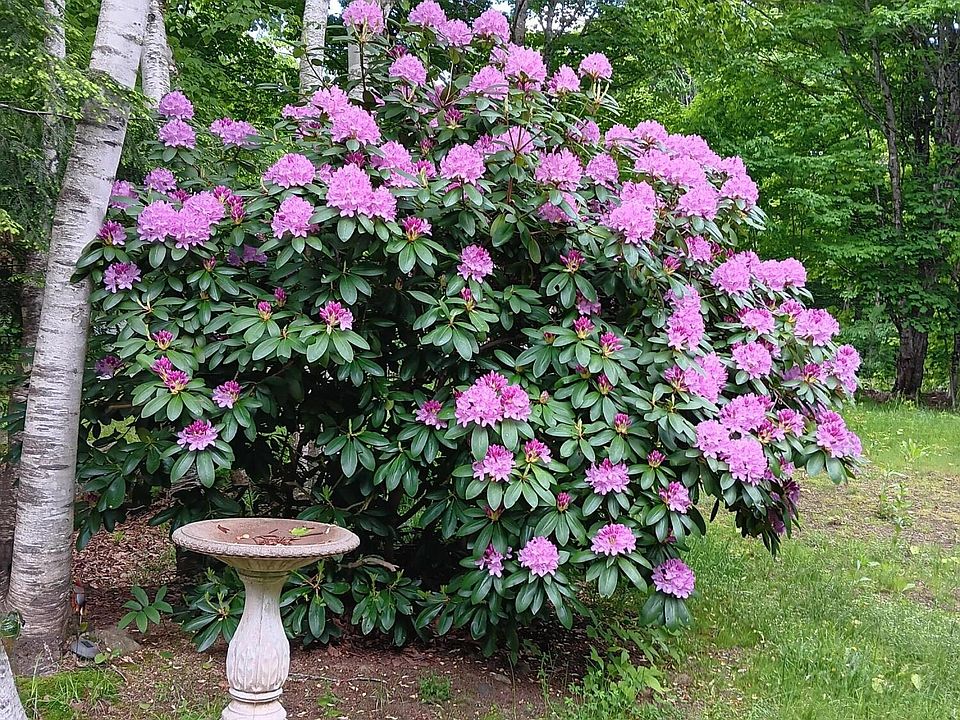 411 Mcgrath Pond Road, Belgrade, ME 04917 Zillow