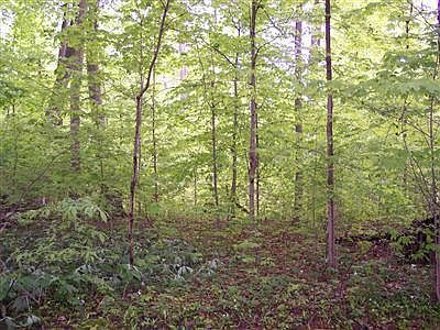 1st image of 7155 Creekwood