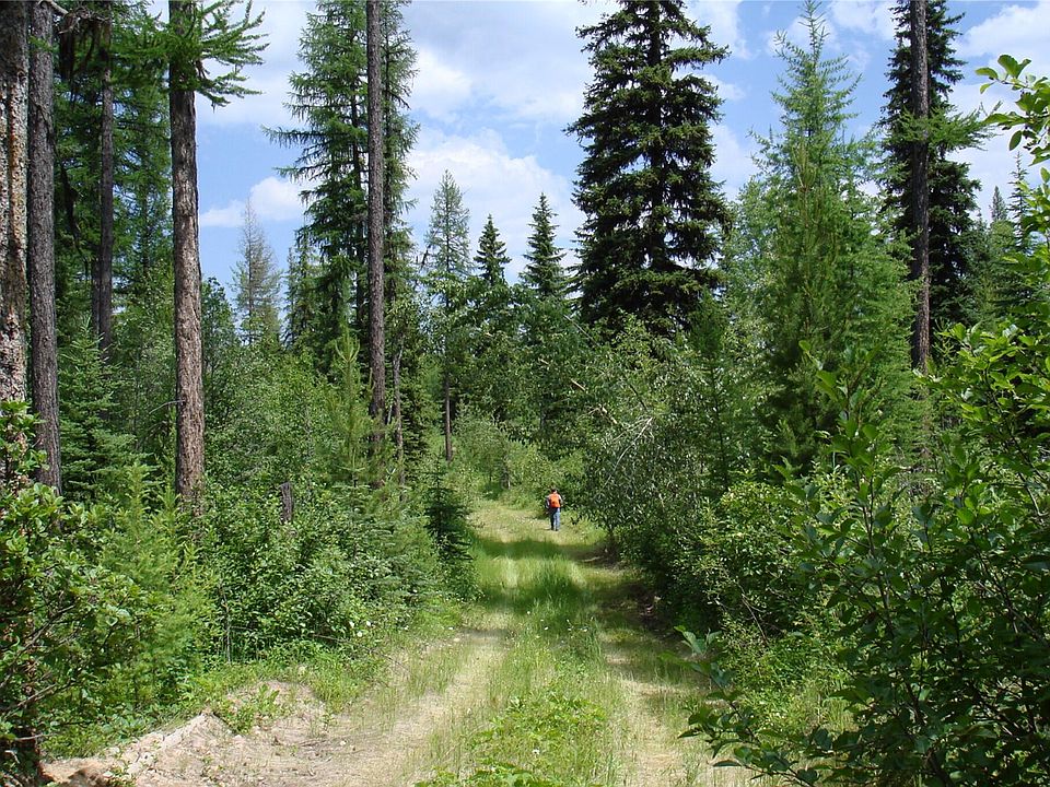 Nhn Trail Creek Rd, Polebridge, MT 59928 MLS 22205738 Zillow