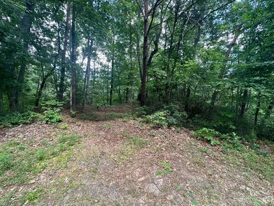 0 Justice Dr, Lake Lure, NC, 28746