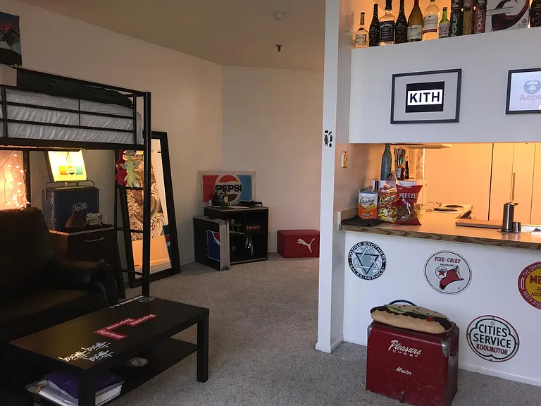 780 S Federal St #1008 — Photo 3
