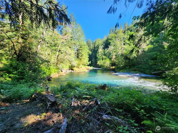 615 Coyote Road, Brinnon, WA 98320
