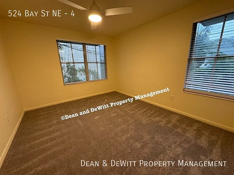 524 Bay St NE #4 — Photo 9