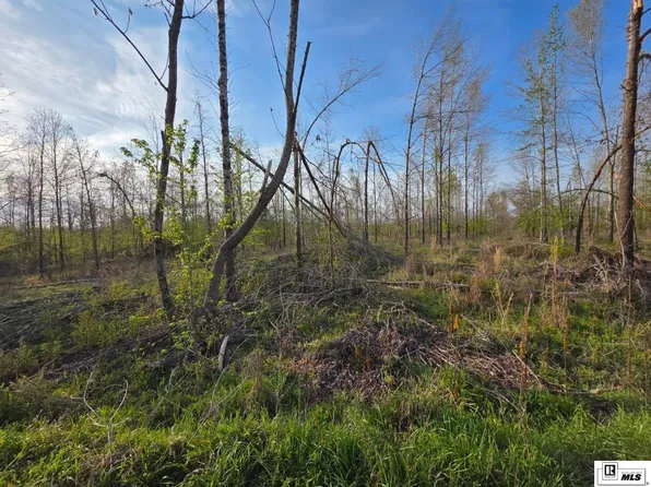0 Carey Smith Rd, Mangham, LA 71259