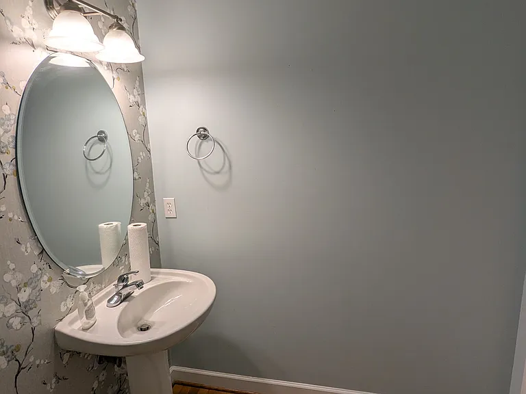 Downstairs Half Bathroom