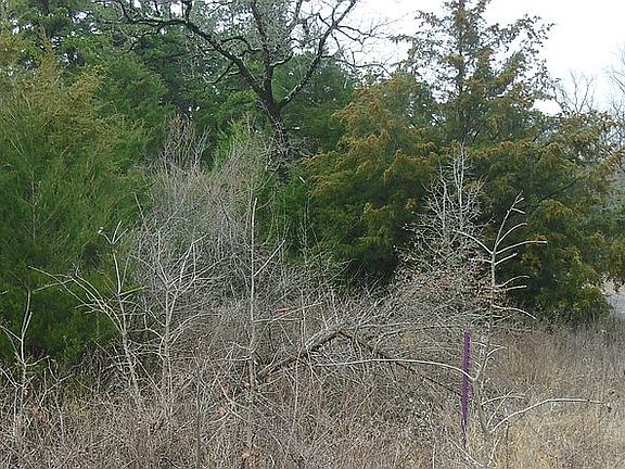 3rd image of 23407 Pine Dr