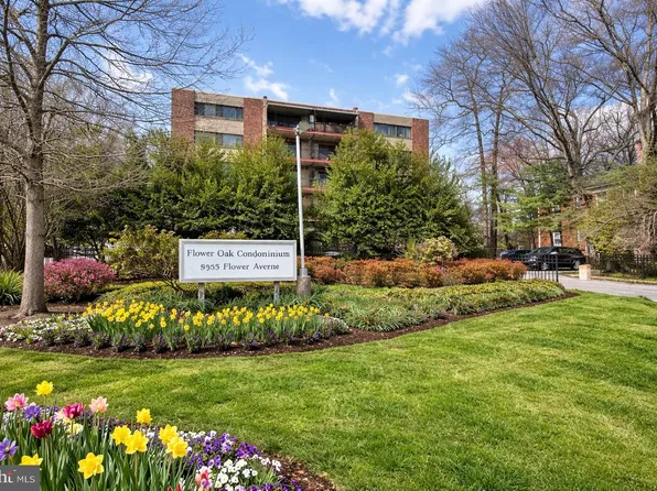 8308 Flower Ave APT 203, Takoma Park, MD 20912