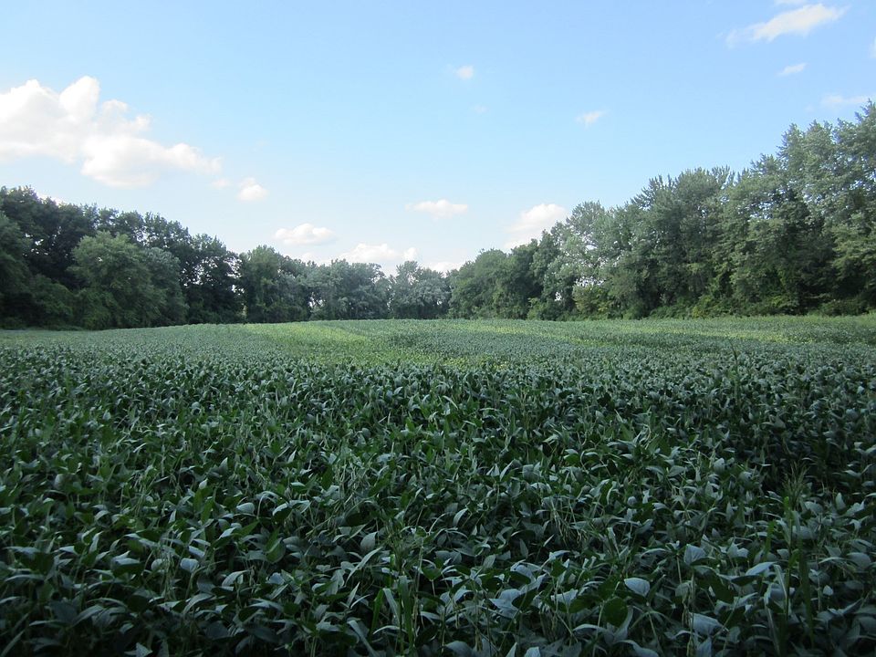 1st image of 0 Little River Rd