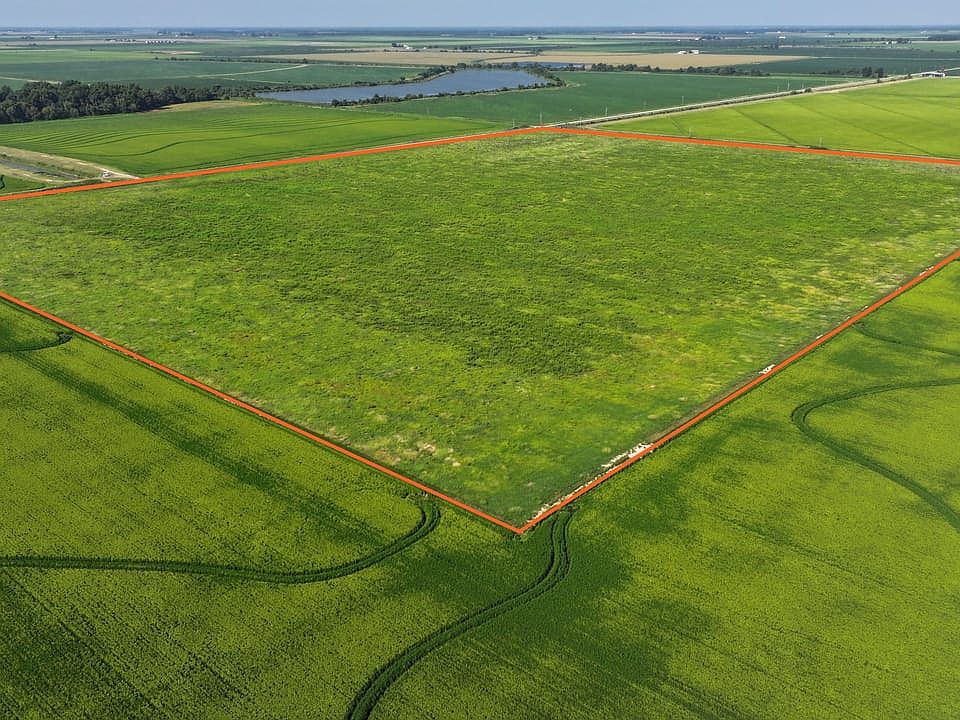 Boundary Line