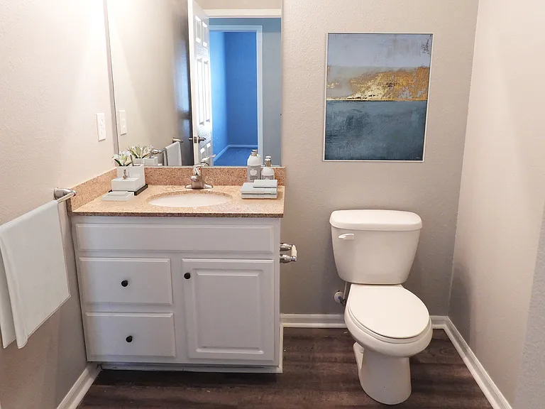 Owens Lake Commons Apartments & Townhomes — Photo 59