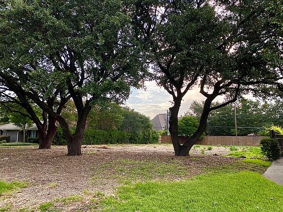 Large Canopy & Ample Shade