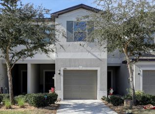 1595 Cassius St, Lutz, FL 33559