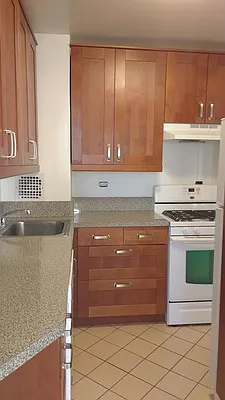 Rented by Manhattan Flats | media 9