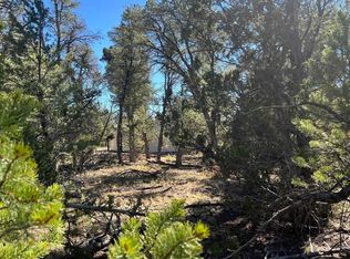 Paradise Loop, Quemado, NM 87829