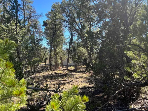 Paradise Loop, Quemado, NM 87829