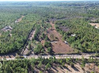 22370 NE 130th Ave, Fort Mc Coy, FL 32134