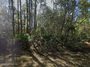 213 TERRI AVE Avenue, Georgetown, FL 32139